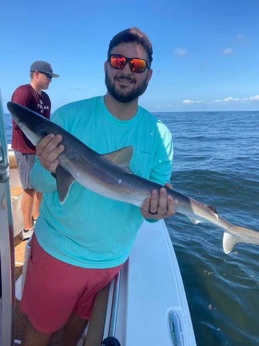 Family Fun Trips - 34' Competition in Galveston