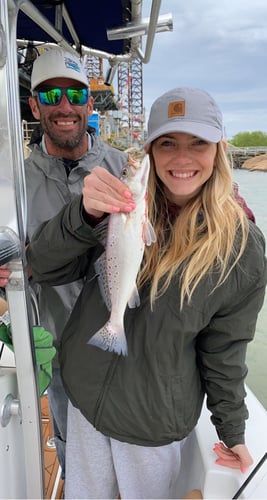 Family Friendly Fishing In Galveston