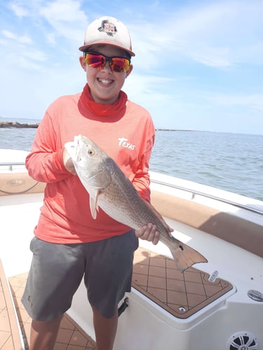 Family Friendly Fishing In Galveston