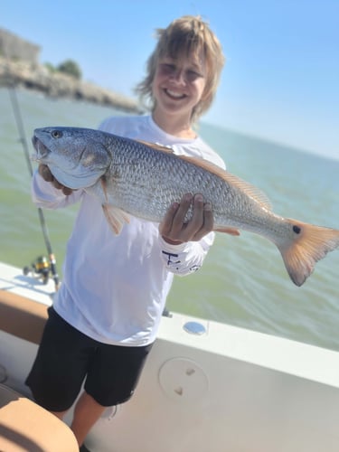 Family Friendly Fishing In Galveston