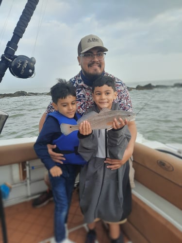 Family Fun Trips - 34' Competition in Galveston