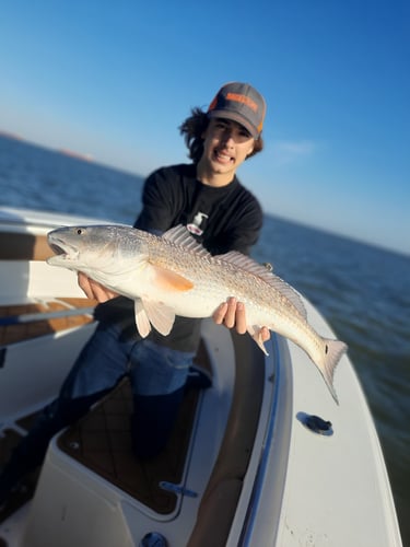 Family Fun Trips - 34' Competition in Galveston