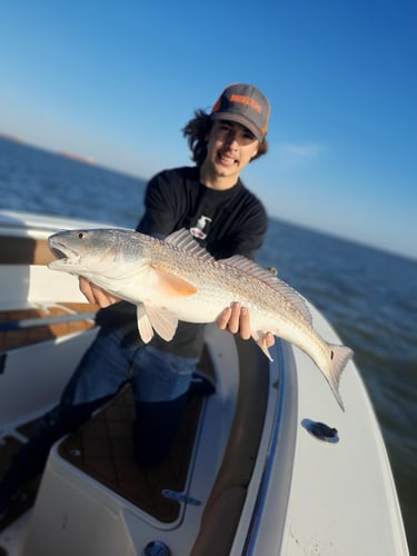 Family Fun - 34’ Competition In Galveston