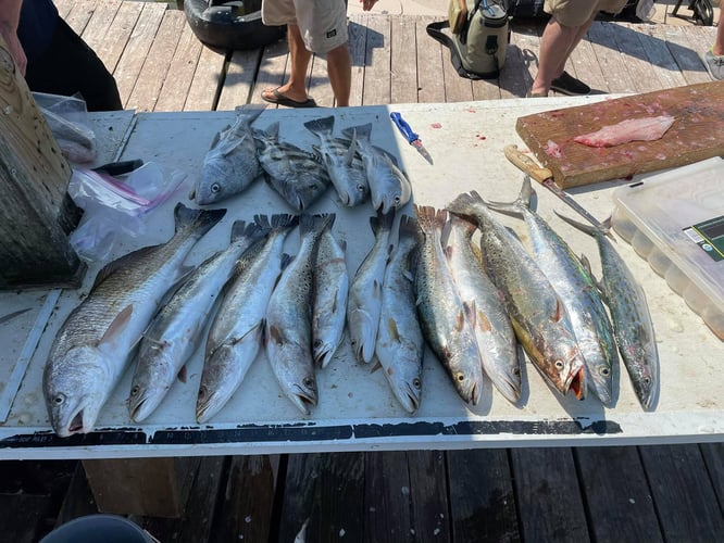 Family Fun - 34’ Competition In Galveston