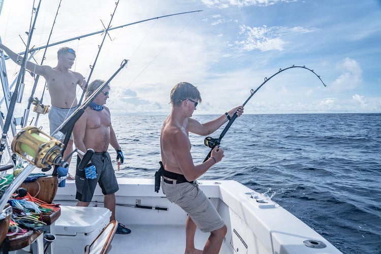 Hardcore Seamount Adventure In Puerto Jiménez