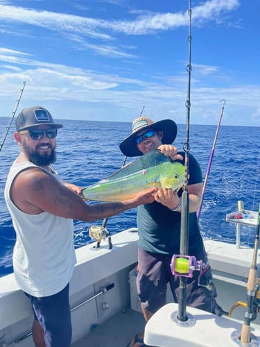 Full Day Trip - 31' Rampage in Pompano Beach