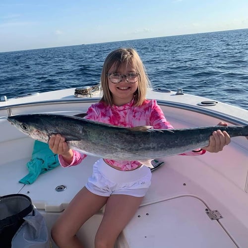Full Option Day Charter in Hillsboro Beach