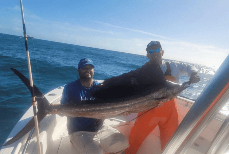 Full Option Day Charter in Hillsboro Beach