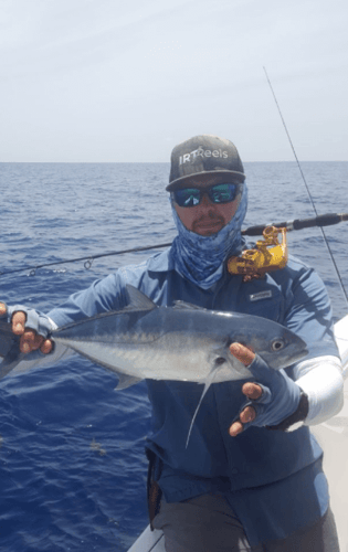 Full Option Day Charter in Hillsboro Beach