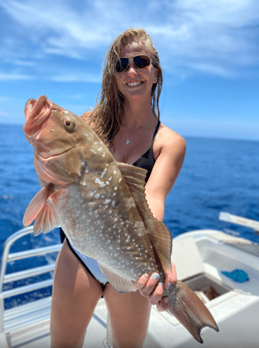 Tarpon Trips In Sarasota