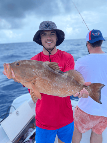 Tarpon Trips In Sarasota