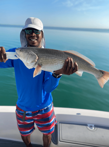 Tarpon Trips In Sarasota