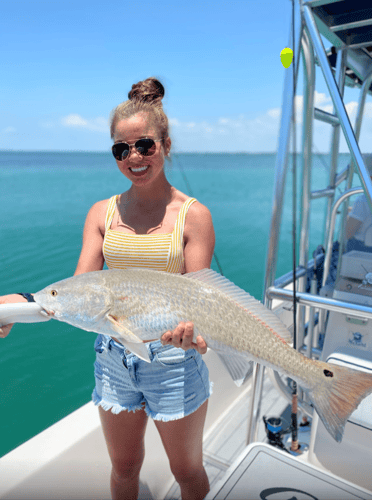 Tarpon Trips In Sarasota