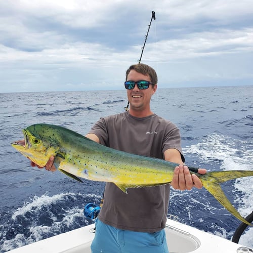 4-8 Hours Fishing Trip - 35’ Sea Hunter