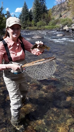 Women's Only Fly Fishing Trip In Littleton