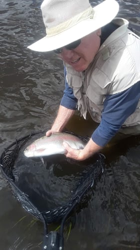 Women's Only Fly Fishing Trip In Littleton