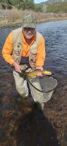 Women's Only Fly Fishing Trip in Littleton