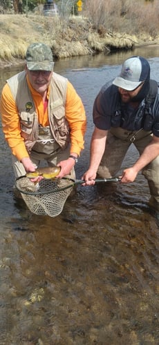 Women's Only Fly Fishing Trip In Littleton