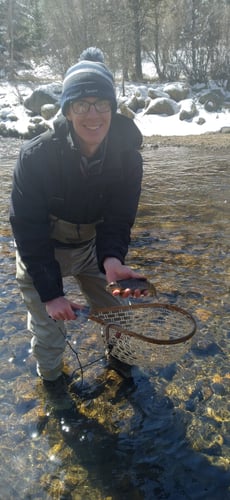 Women's Only Fly Fishing Trip In Littleton