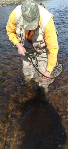 Women's Only Fly Fishing Trip in Littleton