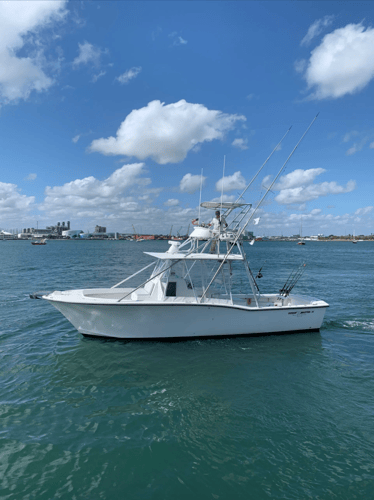 Tailored Fishing Experience - 34' Ocean Master