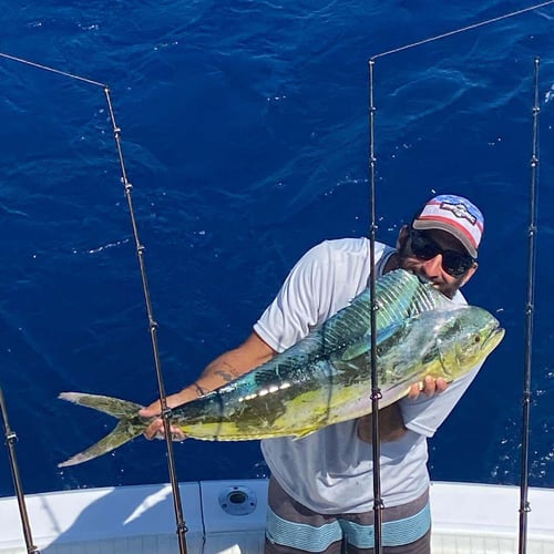 Full Day Offshore - 53' Hatteras In Pompano Beach