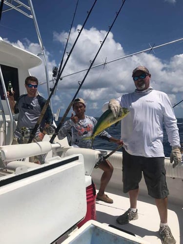Full Day Offshore - 53' Hatteras In Pompano Beach