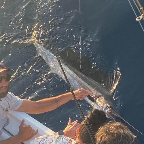 6 Hour Offshore - 53' Hatteras In Pompano Beach