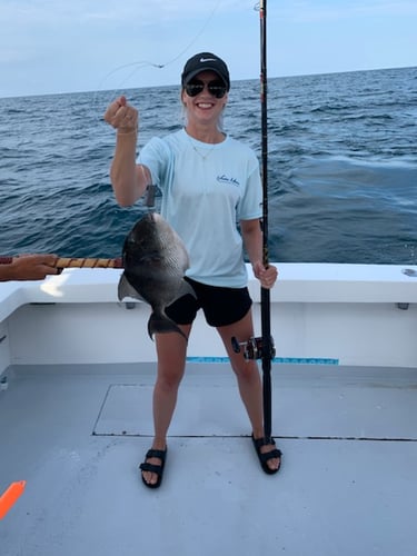 Getting the Most out of State Water in Destin
