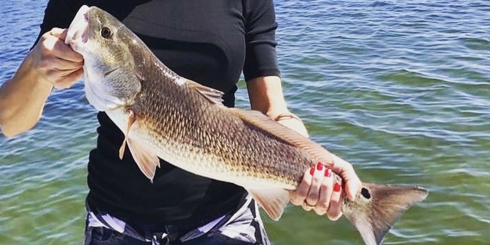 Getting the Most out of State Water in Destin