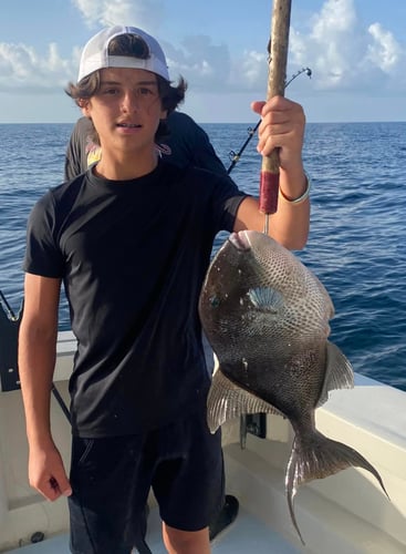 Destin Trolling & Bottom Fishing in Destin