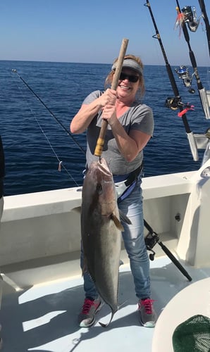 Destin Trolling & Bottom Fishing in Destin
