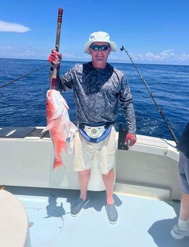 Destin Trolling & Bottom Fishing in Destin