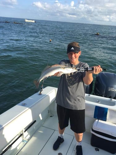 Galveston Bay Jetty Run In Galveston