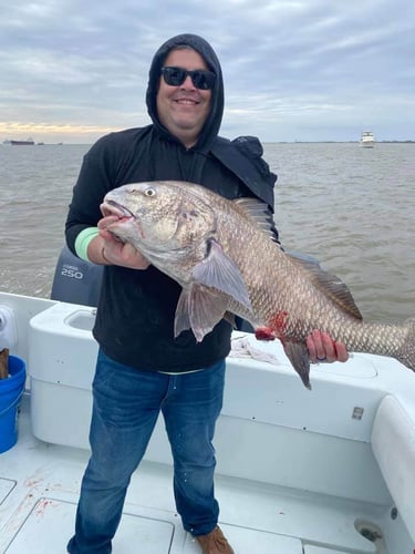 Galveston Bay Jetty Run In Galveston