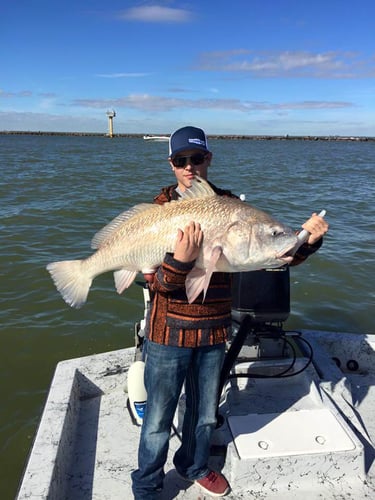 Galveston Bay Jetty Run in Galveston