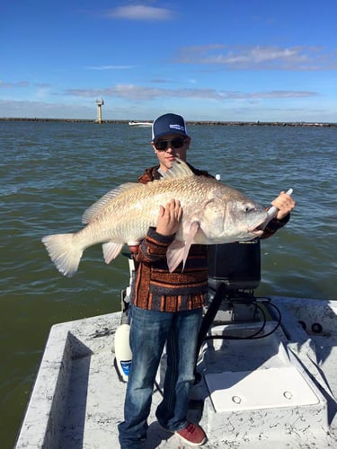 Galveston Bay Jetty Run In Galveston