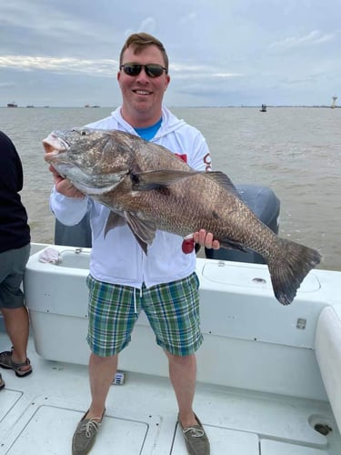 Galveston Bay Jetty Run In Galveston