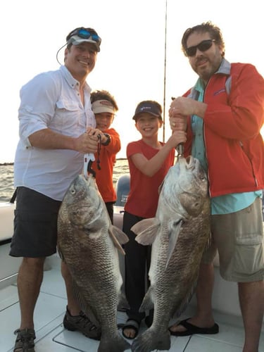 Galveston Bay Jetty Run In Galveston