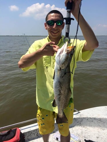 Galveston Bay Jetty Run In Galveston