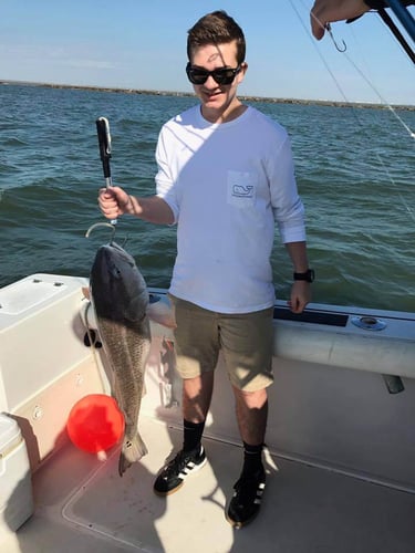 Galveston Bay Jetty Run In Galveston