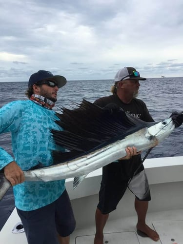 Full Day Offshore Fishing Trip In Riviera Beach