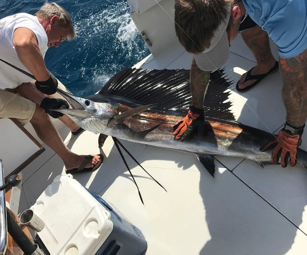 Full Day Trip Offshore - 50' Tom Fexas