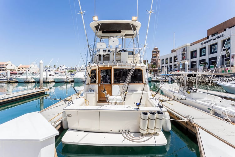 Cabo Offshore - 35’ Owen In Cabo San Lucas