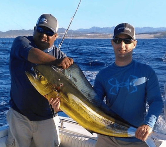 Cabo Offshore - 35’ Owen In Cabo San Lucas