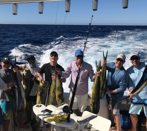 Cabo Offshore - 35’ Owen In Cabo San Lucas