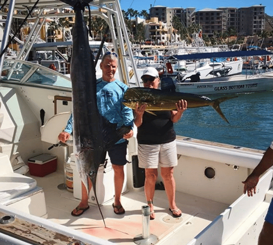 Cabo Offshore - 35’ Owen In Cabo San Lucas