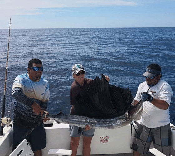 Cabo Offshore - 35’ Owen In Cabo San Lucas