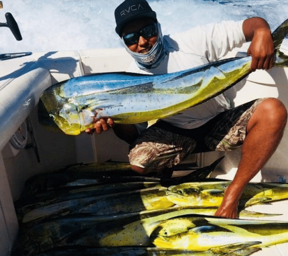 Cabo Offshore - 35’ Owen In Cabo San Lucas