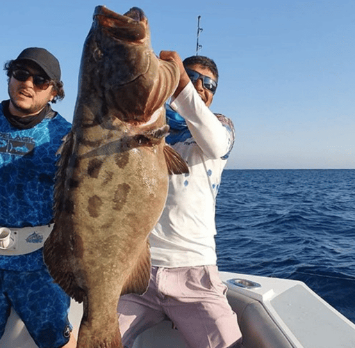 Cabo Offshore - 35’ Owen In Cabo San Lucas